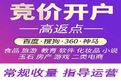 百度推广中的创意策略：成功案例解析与启示